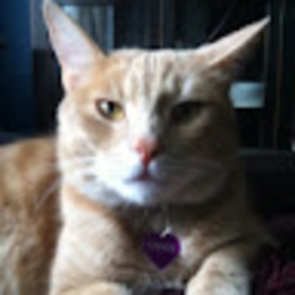 Meet your Posher, Tara - Picture 1 of 1